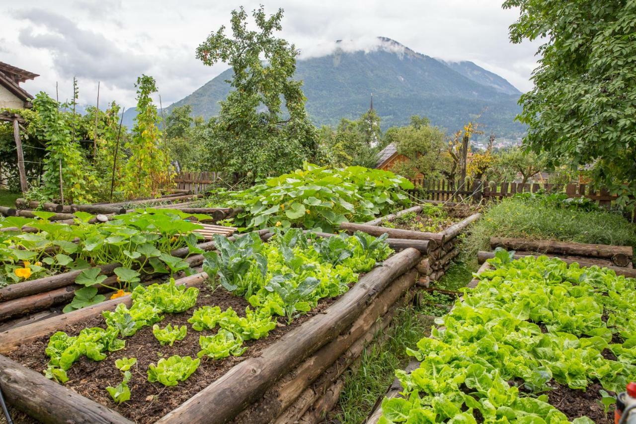 Вилла Glamping Organic Farm Slibar Тржич Экстерьер фото